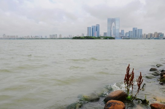蘇州金雞湖風(fēng)光