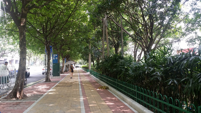 綠化帶