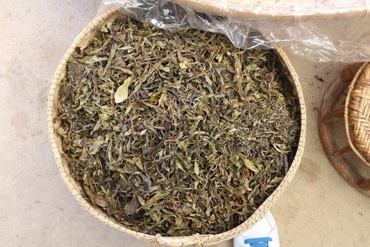 麻黑茶葉
