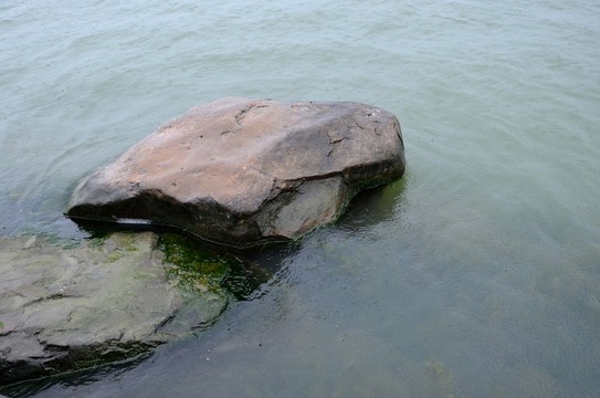 水里的石頭