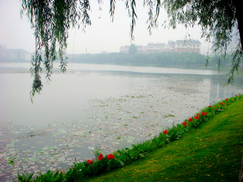 陸羽 故園 園林景觀