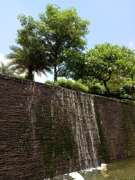 園林景觀