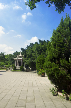 廣場(chǎng)綠叢