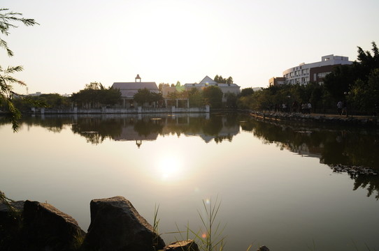 日落水塘