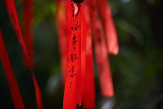 許愿條 祝福語(yǔ)