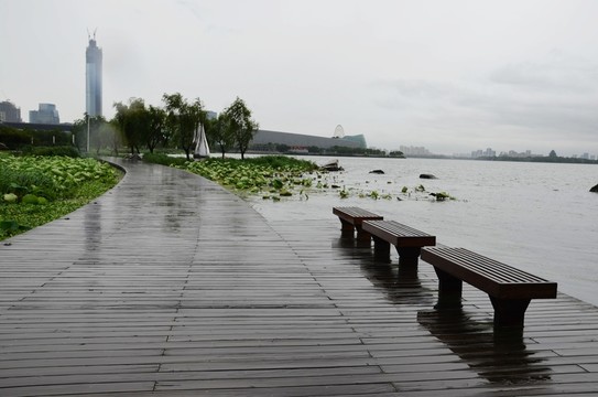 湖濱公園
