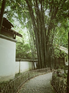 杜甫草堂