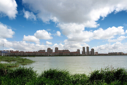 大慶 龍鳳 濕地 湖水 蘆葦