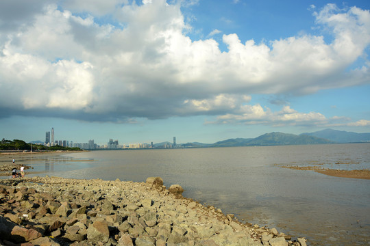 深圳紅樹林自然保護(hù)區(qū)