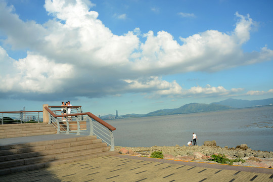 深圳紅樹林