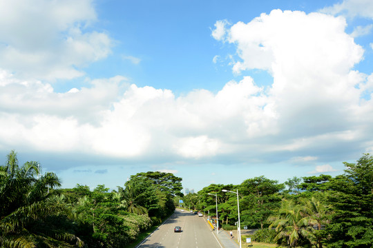 深圳濱海大道