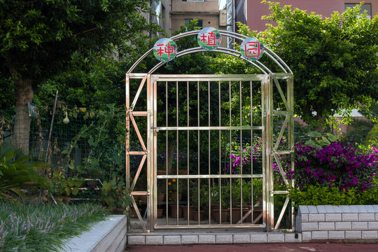 課外活動 學(xué)生種植園