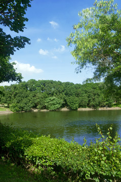 水池綠生態(tài)
