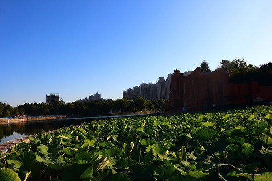 世紀(jì)公園
