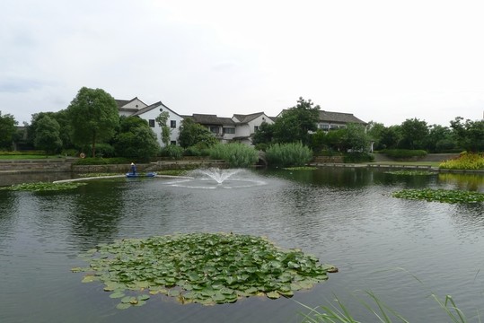 杭州西溪濕地