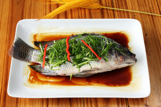 福壽魚