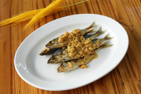 池魚