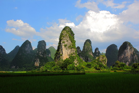 奇峰鎮(zhèn)風(fēng)光