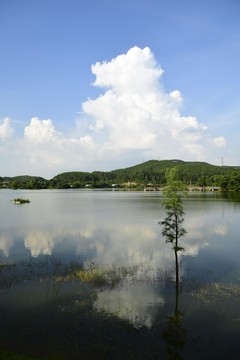 叱石蘭石公園