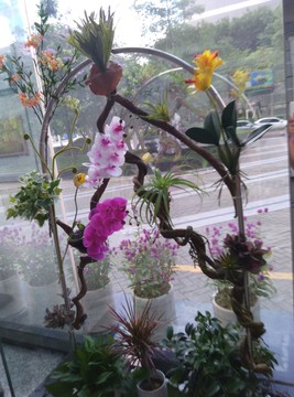 江蘇大廈花