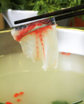 財(cái)魚片