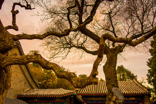 北海公園