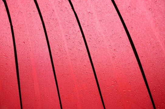 雨傘