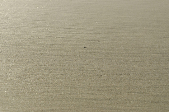 沙灘沙子特寫