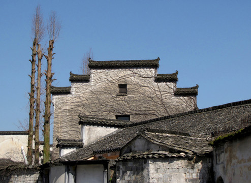 生命涂鴉