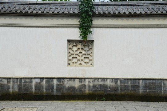 粉墻黛瓦 綠藤
