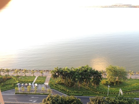 海岸綠化