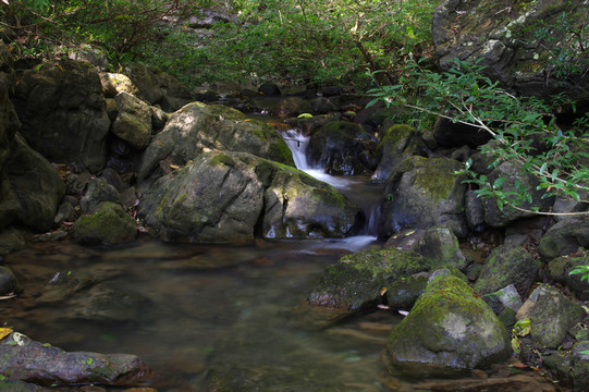 小溪