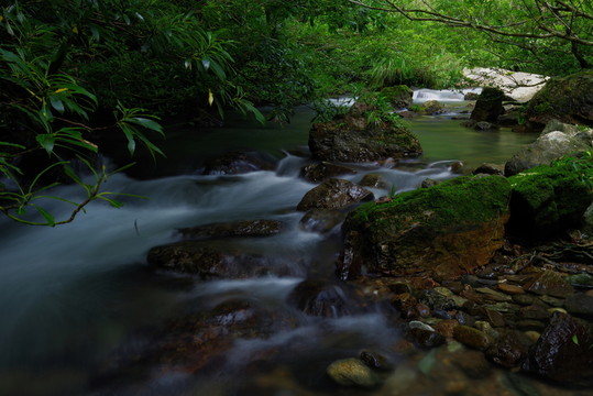 山澗 小溪
