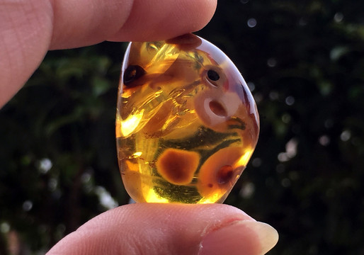 蜜蠟 溶洞蜜
