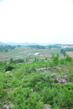 農(nóng)田 農(nóng)業(yè)  農(nóng)村