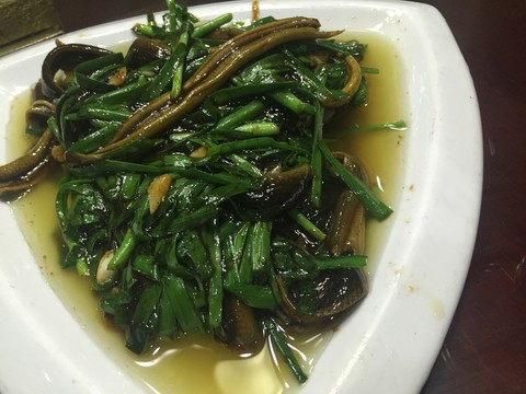 軟兜鱔魚