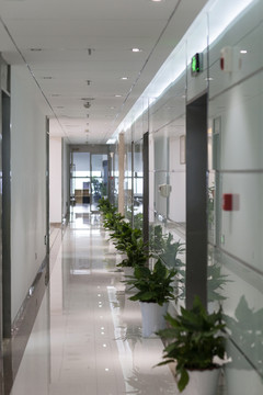 現(xiàn)代職場