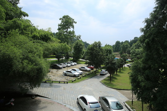 小區(qū)綠化