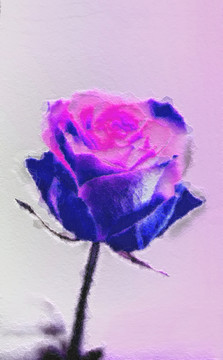 花卉裝飾畫