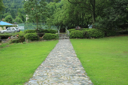 草地