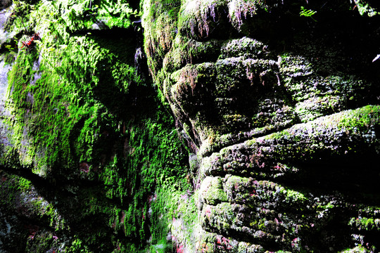 老君山黎明景區(qū)