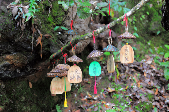老君山黎明景區(qū)