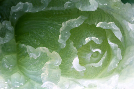 白菜 大白菜 百財 玉石 珠寶