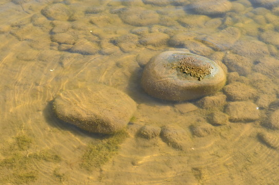 湖水