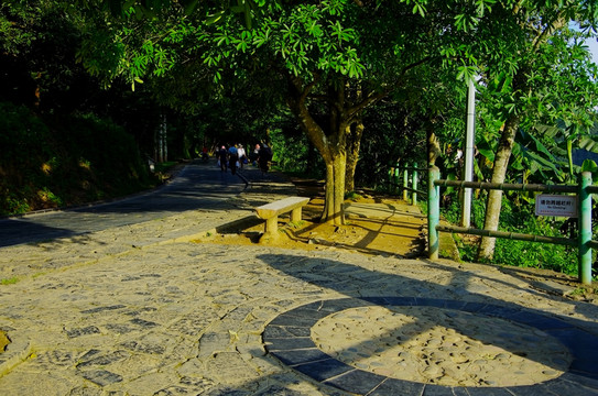 景區(qū)道路