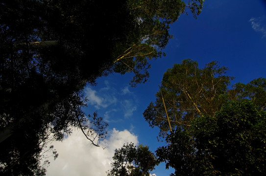天空 藍(lán)天