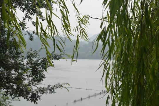 湖景