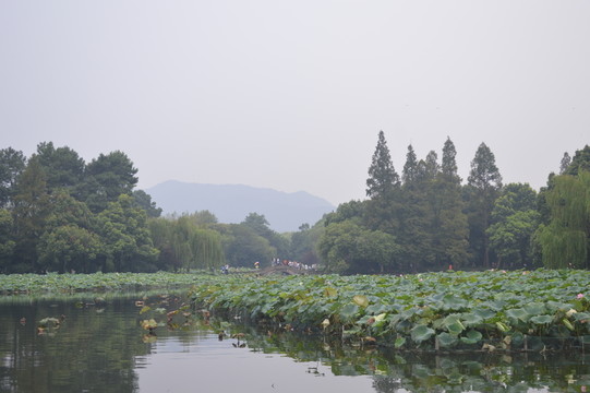 湖景