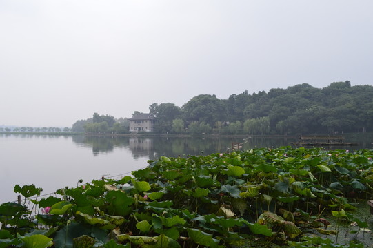 湖景