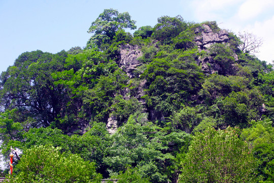山巒